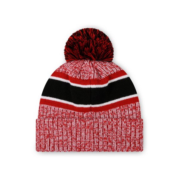 Atlanta Falcons NFL Heather Team Stripe Lined Pom Beanie Online - Image 2