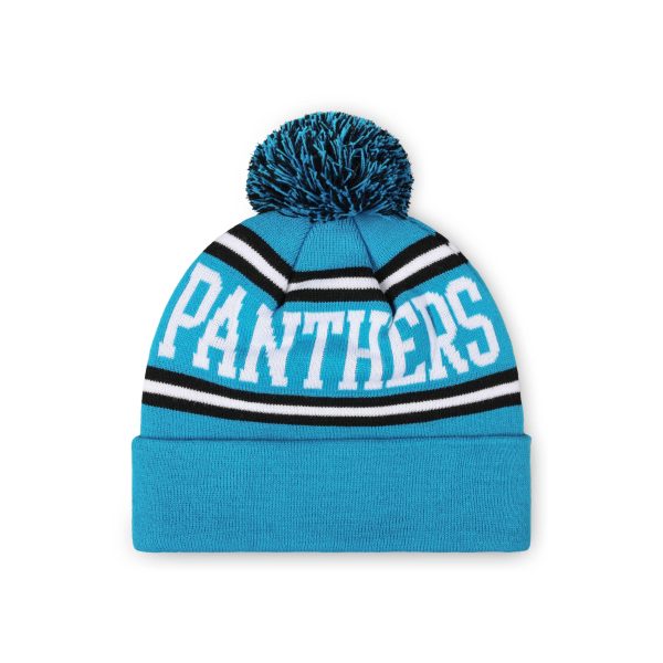 Carolina Panthers NFL Glacier Blue Primary Logo Stripe Pom Beanie For Discount - Image 2
